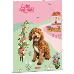 Doggie, kutyás gumis mappa A/4, Cute Animals