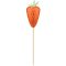 Húsvét Carrot díszítő pálca 10 db-os