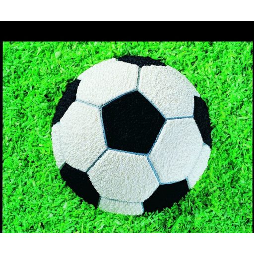 Focilabda tortaforma