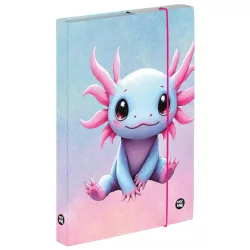 Axolotl füzetbox A/4, OXY 2026 