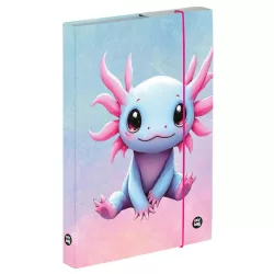 Axolotl füzetbox A/5, OXY 2026