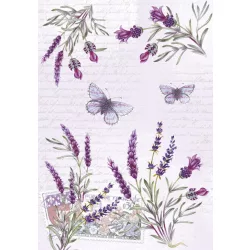 Levendula Butterfly A/4 gumis mappa